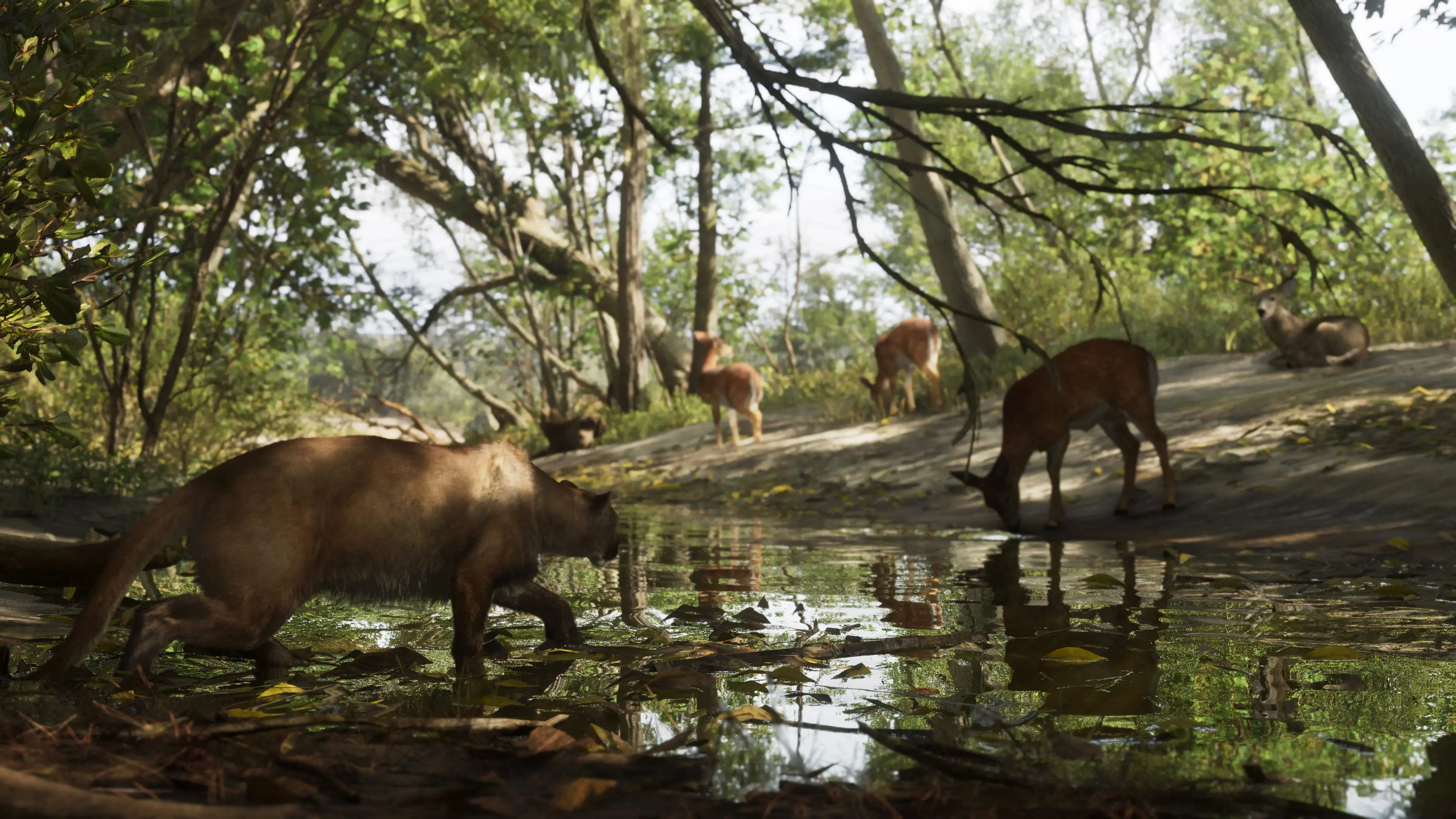 Mount Kalaga National Park 5