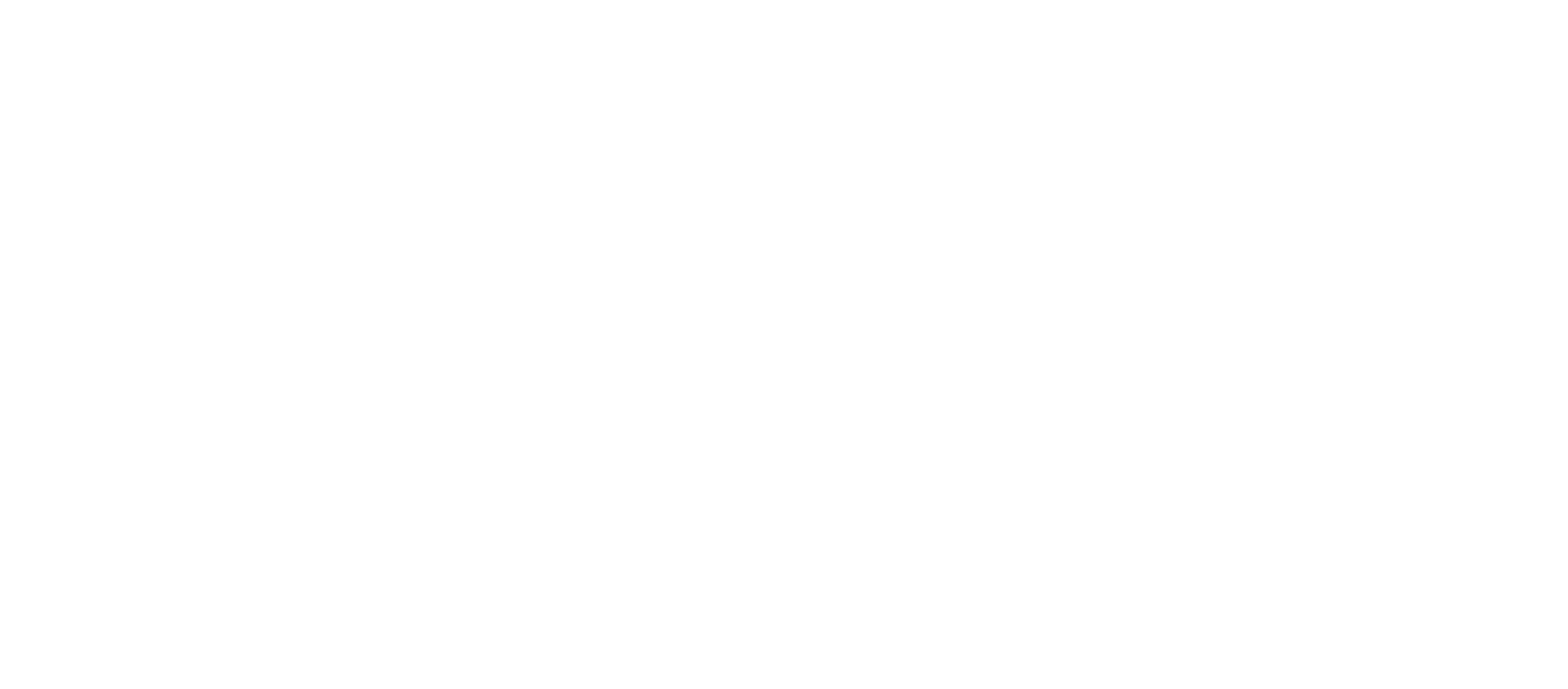 Visit Leonida Logo