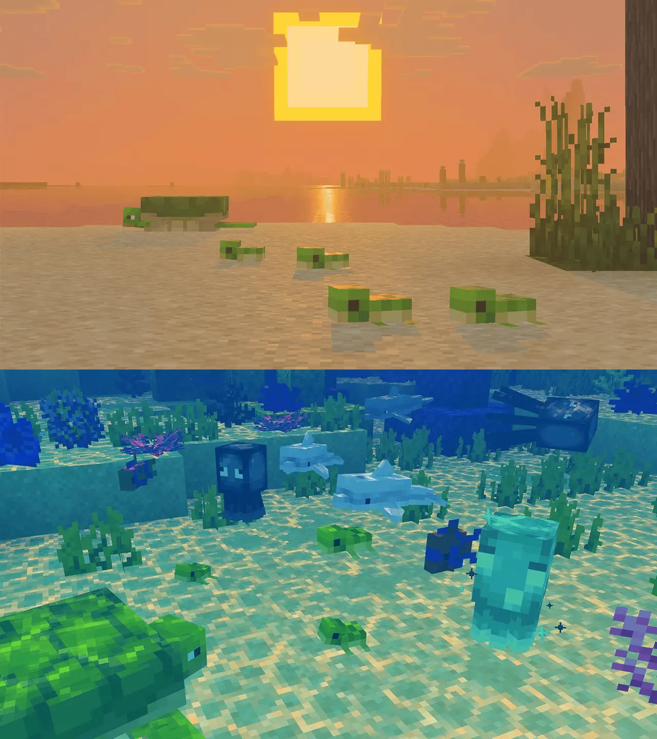 Baby Squids & Turtles